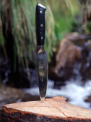Nóż uniwersalny Aka Tori ze stali damasceńskiej 5" - Osaka Pro